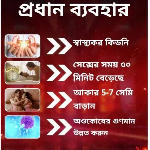 Antarctic Krill Oil 30 pcs capsules - Image 2